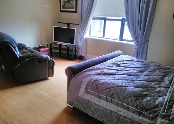 בית הארחה Riverview 3*